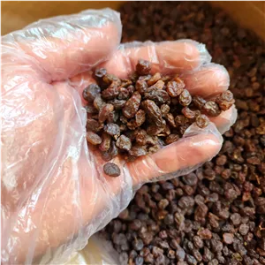 کشمش آبگیری درجه یک (5 کیلوگرم،ارسال رایگان)