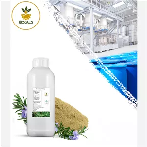 عصاره رزماری مایع صدردصد خالص 100 سی سی (هیدروالکلی ) گرید A+