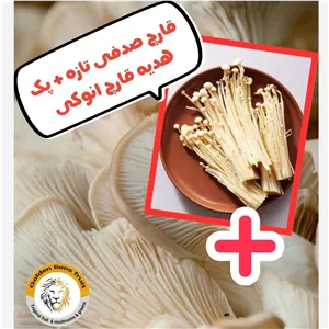 قارچ صدفی 2 کیلویی به همراه پک هدیه قارچ انوکی