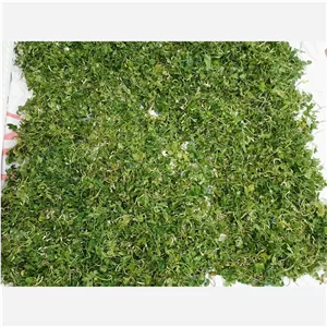 سبزی جنگلی چوچاق 500گرمی،خشک شده