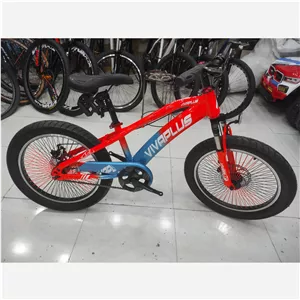 دوچرخه سایز 20 ویوا پلاس 