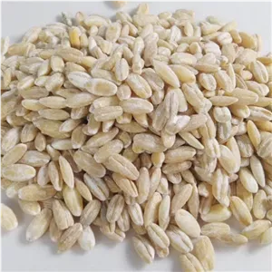 جو پوست کنده سبلان 
