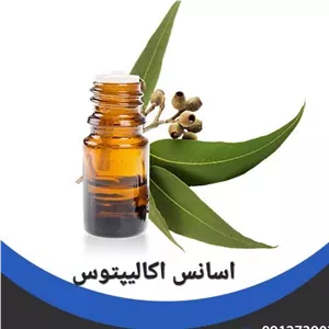اسانس اکالیپتوس  500 گرمی