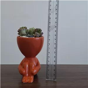 دیش گاردن عروسکی با کاکتوس و ساکولنت
