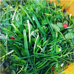 سبزی خوردن تره تازه