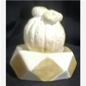 گلدان دکوری سنگی کاکتوس 8 سانتی(مدل سه سر) کادو هدیه گیفت جهیزیه 