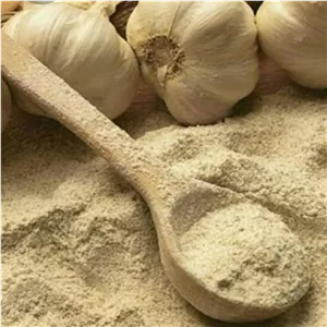 پودر سیر درجه یک ( 1 سیر )