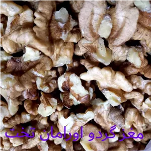 مغز گردو