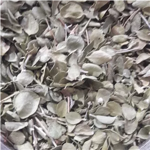 آویشن شیرازی