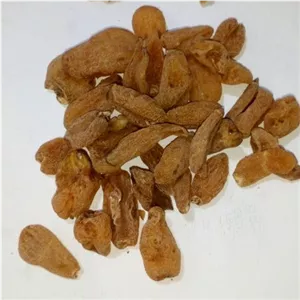 ثعلب قلوه (10 گرم)