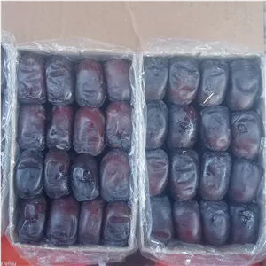 خرما  مضافتی _کلوته 