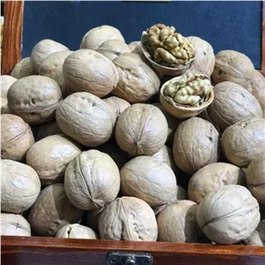 گردو با پوست تویسرکان1404(1000 گرم)