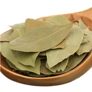 برگ بو اعلا 20گرمی