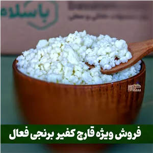 قارچ کفیر برنجی فعال (پنجاه گرمی) به همراه 300 سی سی دوغ آموزش رایگان محصولات کفیر