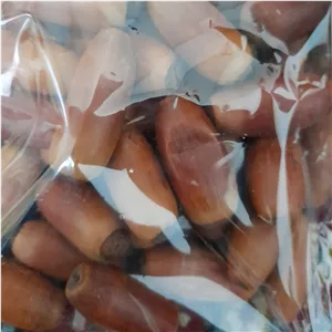 میوه بلوط (200گرمی)