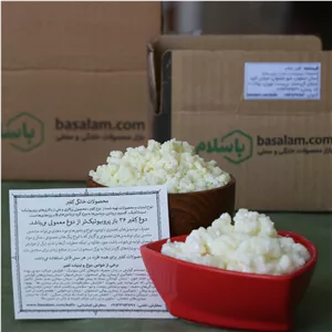 قارچ کفیر قفقازی فعال ( 80 گرمی ) به همراه آموزش رایگان سایر محصولات کفیر تضمین کیفیت