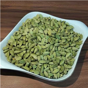 هل جی تی سی 