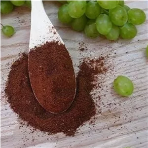 پودر غوره 100گرمی (گرد غوره)