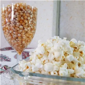 ذرت خام پفیلا (پاپ کورن) 500 گرمی