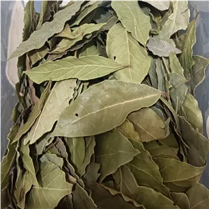برگ بو درجه یک 500 گرم