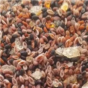 چهار تخم درجه یک 100 گرمی