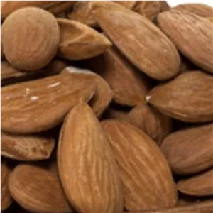 مغز بادام خام ایرانی یک کیلویی یلدا آقای زعفران