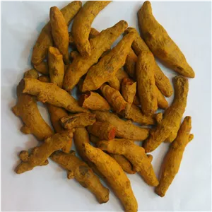زردچوبه چوب زرد چوبه یک کیلویی 