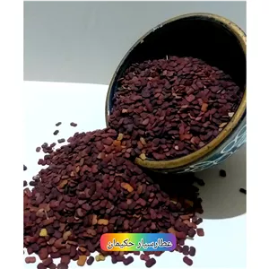 عدس الملک (100 گرمی) عدس تلخ کوهی