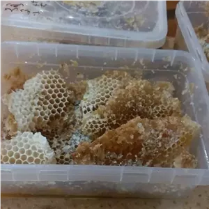 عسل کوهستانی بکر مومدار شان(700گرم)\n