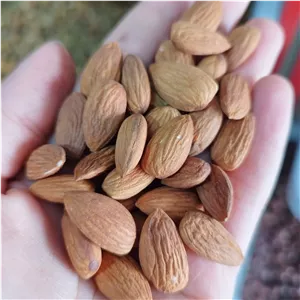 مغز بادام درختی زرین خام(200گرمی)