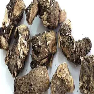 ریشه کندش هندی 50 گرمی اصلی ضمانتی بدون خاکه 