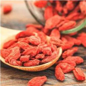 گوجی بری اصل کانادایی خشک 100 گرمی ( حفظ تناسب اندام و آنتی اکسیدان)