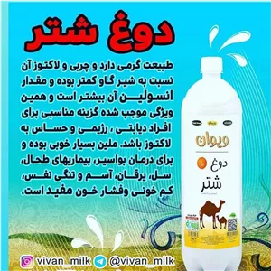 دوغ شتر