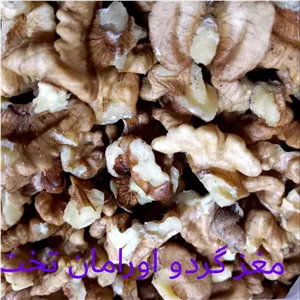 مغز گردو