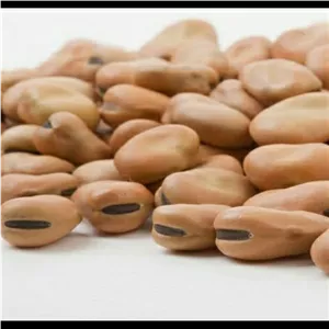 باقالی خشک