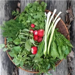 سبزی خوردن پاک شده  1500گ