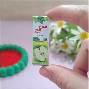 مگنت مینیاتوری آبمیوه سیب سن ایچ