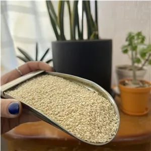 کنجد سفید ممتاز 5 کیلویی عمده