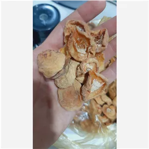 برگه زردآلو طبیعی خانگی صد گرمی 