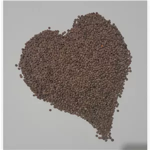 عدس آشی (کانادایی )زود پخت ولعابدار در بسته 900 گرمی