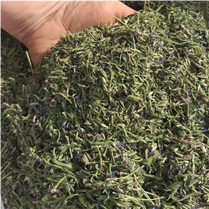 برگ خشک رزماری درجه یک صد گرمی به همراه پودر رزماری اعلا صدگرمی با ارسال رابگان