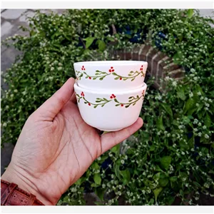 کاسه سرامیکی ترشی خوری