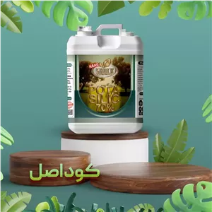 سیلیکات پتاسیم شوک 5 لیتری کود کامل کود اصل