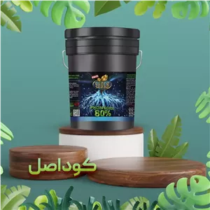 کود فسفر 80 درصد شوک 20 لیتری کود کامل