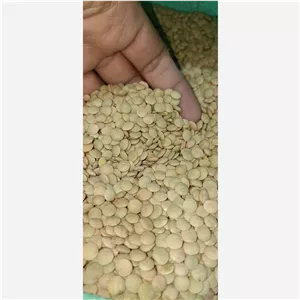 عدس پلویی درجه یک بسته 900 گرمی