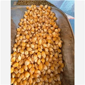 ذرت خام پفیلا درجه یک بسته 500 گرمی