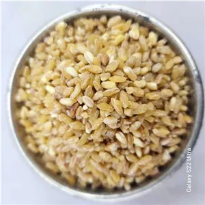 بسته یک کیلو گرمی گندم اهوازی مادرجون