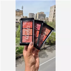 پالت رژگونه گل فلاور