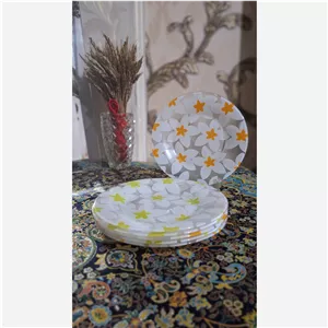  پیشدستی ارکوپال پیم پرنل فرانسه (پس کرایه)