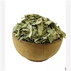 برگ سنا 100 گرم